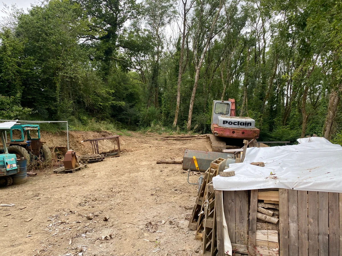 Excavator, stacked wood, lengths of timber and a cleared working area beside standing trees.