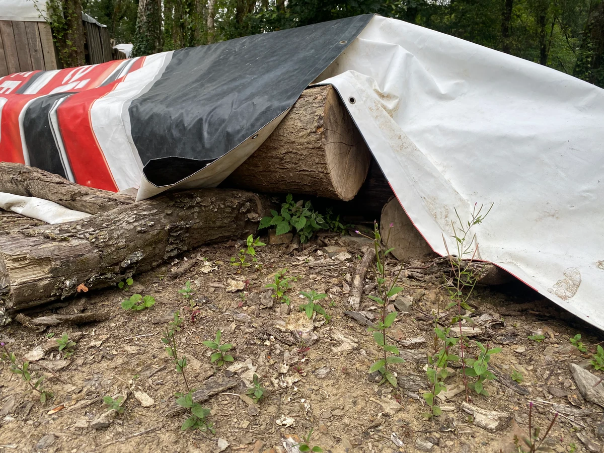 Large cut logs partly covered by sheeting, with timber and bark on the ground.